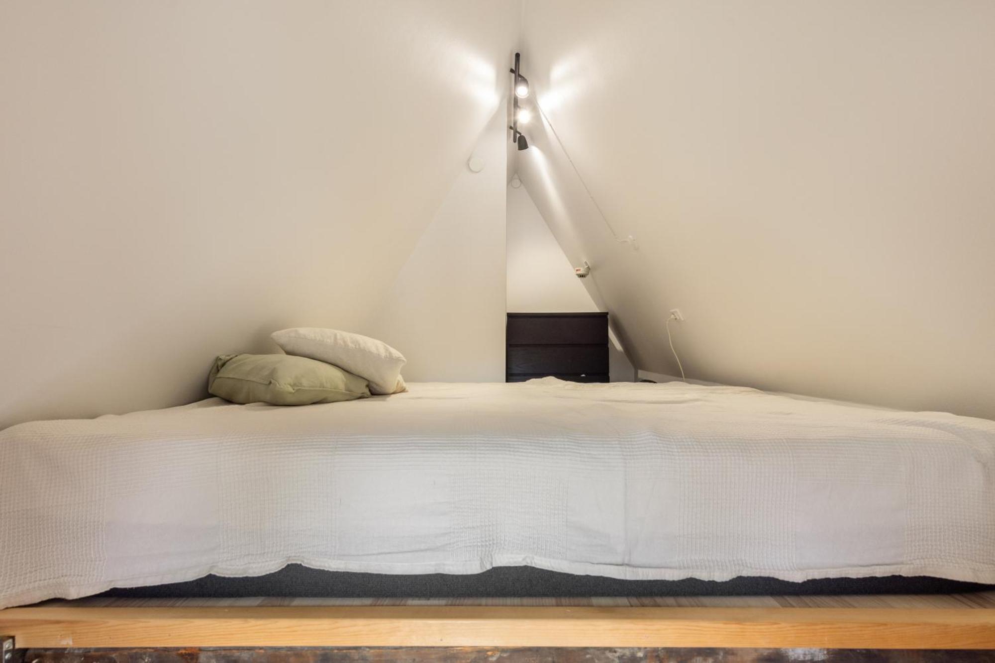 Charming Loft City Center Apartment København Ngoại thất bức ảnh